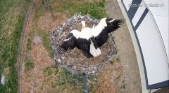IMG_6141.jpeg