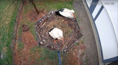 IMG_6129.jpeg