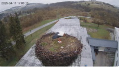 2025-04-11 21_45_10-[stimotion.pl] Bociany w Rzepedzi - YouTube – Brave.png