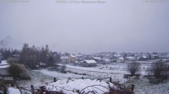 2025-04-11 21_49_19-bociany-online.pl - gniazdo - LIVE - YouTube – Brave.png