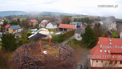 2025-04-11 22_28_45-Gniazdo bocianie _Kostek i Rika_ - Podkarpacie Kostarowce - YouTube – Brave.png