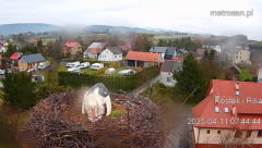2025-04-11 22_29_44-Gniazdo bocianie _Kostek i Rika_ - Podkarpacie Kostarowce - YouTube – Brave.png