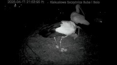 IMG_6195.jpeg