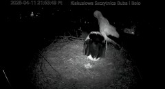IMG_6200.jpeg