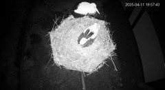 IMG_6214.jpeg