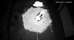 IMG_6215.jpeg
