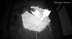 IMG_6218.jpeg