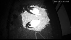 IMG_6220.jpeg