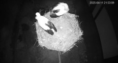 IMG_6222.jpeg