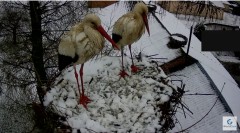 IMG_5889.jpeg