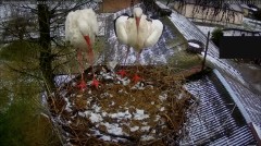 IMG_5895.jpeg