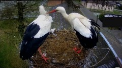 IMG_5896.jpeg