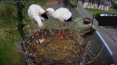 IMG_6181.jpeg