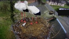 IMG_6185.jpeg
