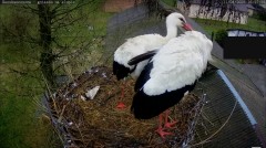 IMG_6186.jpeg