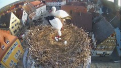 IMG_6012.jpeg