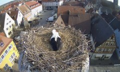 IMG_6029.jpeg