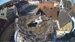 IMG_6064.jpeg