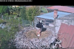 bandicam 2025-04-12 17-00-51-094.jpg
