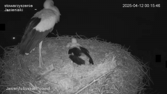 Jańcia pracuje 00:15:46