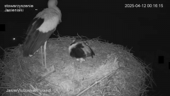 00:16:15 odsłona, ale niewiadoma