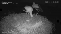 01:35:09 odsłona już wiadoma