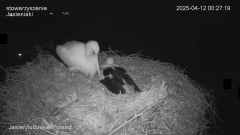 00:27:19 Jasiek położył się koło Jańci