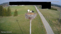 2025-04-12 22_37_48-Bociany Żabno - YouTube - Maxthon.png