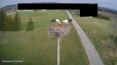 2025-04-12 22_37_56-Bociany Żabno - YouTube - Maxthon.png