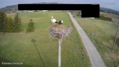 2025-04-12 22_38_11-Bociany Żabno - YouTube - Maxthon.png