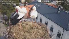 IMG_6133.jpeg