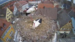 IMG_6126.jpeg