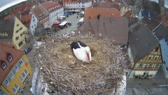 IMG_6137.jpeg