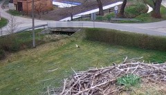 IMG_6164.jpeg