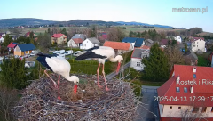 2025-04-13 20_00_35-Gniazdo bocianie _Kostek i Rika_ - Podkarpacie Kostarowce - YouTube – Brave.png