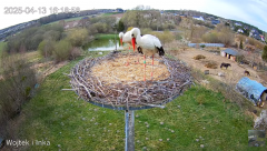 2025-04-13 20_16_37-Bociany Lublewo - YouTube – Brave.png
