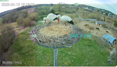 2025-04-13 20_16_50-Greenshot capture form.png