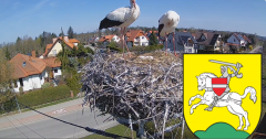 2025-04-13 11_12_11-BOCIANY kamera na żywo z gniazda w Pasłęku – Brave.png