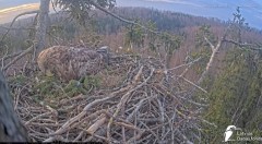 20250414_103728.jpg