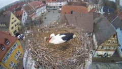 IMG_6193.jpeg