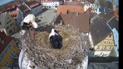 IMG_6228.jpeg