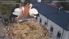 IMG_6229.jpeg