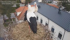 IMG_6230.jpeg