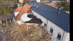IMG_6236.jpeg