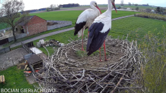 2025-04-14 21_50_30-Bocian Gierłachowo 2025 - YouTube - Maxthon.png