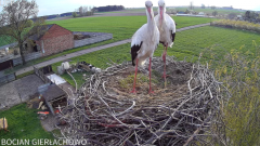 2025-04-14 21_50_42-Bocian Gierłachowo 2025 - YouTube - Maxthon.png