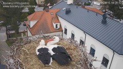 IMG_6280.jpeg