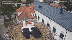 IMG_6286.jpeg