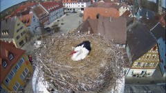 IMG_6277.jpeg