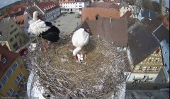 IMG_6289.jpeg